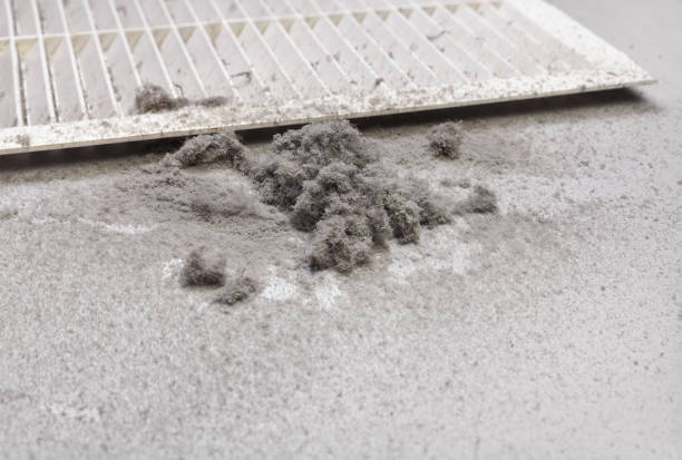 Best Commercial Air Duct Cleaning  in Bowling Green, MD